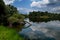 Natural pond and reflections