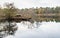 Natural pond on a windless day in autumn