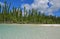 Natural Pool with little sandbar on the right and row of pine trees behind at Ile des Pins