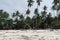 Natural Pristine beach on Zanzibar Africa Nungwi