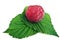 Natural raspberry