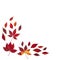 Natural red autumn leaves decoration for a simple seasonal greeting card