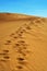 Natural Reserve of Dunes of Maspalomas, in Gran Canaria, Spain