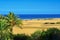 Natural Reserve of Dunes of Maspalomas, in Gran Canaria, Spain