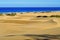 Natural Reserve of Dunes of Maspalomas, in Gran Canaria, Spain