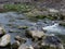 Natural River In a Forest: Silky River Flow Among Mossy Rocks