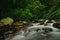 Natural river at the tropical jungle