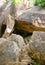 A Natural Rock Cave with Steps - Edakkal Caves in Wayanad, Kerala, India