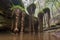 natural rock formation that looks like a series of vines or roots, with water droplets hanging from the tips