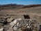 Natural rock mountain dried dusty landscape ground of Namib desert with splitting shale pieces, other stone and desert plant