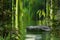 Natural rock podium with water surround with bamboo environment