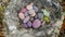 Natural Rock with Purple and White Stones and Leaf