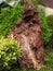 Natural rock retaining wall in a garden