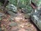 Natural rock steps at the jungle.