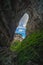 Natural rocky arch fissure in Wulong National Park