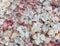 Natural salt with pink crystals close-up