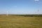 The natural scenery of the grassland in northern China in late summer