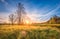 Natural scenery landscape on meadow on bright sunrise on spring morning. Spring grass, trees and blue sky over horizon.