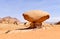 Natural Scenery Mushroom Rock Shape in Wadi Rum Desert, Jordan