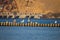 A natural scenery of sea birds sitting on an old breakwater poles