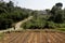 Natural scenery and village roads in the Sukawangi area, Bogor, Indonesia