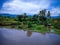 Natural Scenery Of Watering Rice Fields With Wild Santen Tree On A Sunny Day At Ringdikit Village