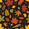 Natural seamless pattern with fallen leaves and berries scattered on black background. Bright colored autumn backdrop