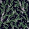 Natural seamless pattern with green rosemary plants and blooming flowers on black background. Wild herb hand drawn in