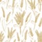 Natural seamless pattern with wheat ears on white background. Backdrop with cultivated cereal plant, grain or crop