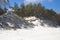 Natural seaside landscape from the Baltic Sea beach with white sand dunes and pine trees growing on them