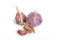 natural seasoning for the dish. garlic head and clove. on a white background. close-up