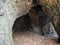 A natural semi-cave and small water tunnels carved into the water along Lake Zurich Zuerichsee oder ZÃ¼richsee, WÃ¤denswil