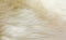 Natural sheepskin fluffy fur rug extreme macro background