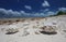 Natural shells on the tropical beach