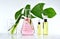 Natural skin care beauty products, Natural organic botany extraction and scientific glassware
