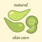 Natural skin care. cucumber based cosmetics