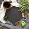 Natural slate slab surrounded by herbs, alchemy appliances, potions and ingredients lies on a table. fabric linen and knitted