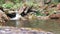 Natural small waterfall with a small spring water pool. Carpathian Mountains, Ukraine. Prores 422