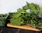 Natural sorrel herbs for cooking various healthy vegetarian dishes