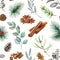 Natural spice elements seamless pattern. Hand drawn watercolor illustration. Cinnamon, eucalyptus, pine, clove aroma