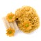 Natural sponge, soap and flowers