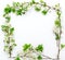 Natural spring frame made of thin twigs of cherry or apple blossom on a white background, place for text