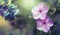 Natural spring or summer blurred background with lilac phlox flowers, toned image, shallow depth of field