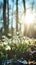 Natural spring vertical background with delicate snowdrop flowers on sunny forest glade