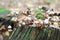 Natural still-life of toadstool fungi on old mossy log