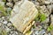 Natural stone dolomite in the limestone open-pit.