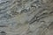 Natural stone of gray-white color with a beautiful pattern is called Arabescato Orobico Grigio marble