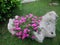 Natural stone planter filled with pink flowers