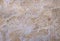 Natural stone shell rock texture background. stone limestone close-up