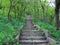 Natural stone staircase rises in the spring fresh green forest